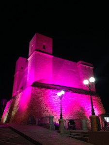 THE PINK TOWER 2